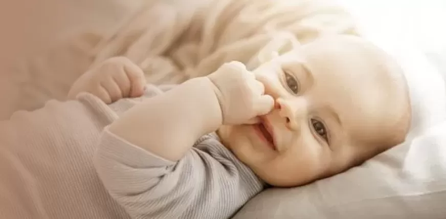 Подарок за отзыв