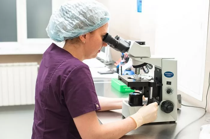 Искусственная инсеминация