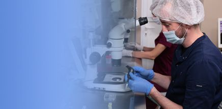 Скидка 15%<br>с Embryoglue<br>при переносе эмбрионов