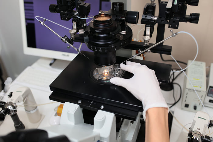 Планы на будущее: родить нельзя заморозить