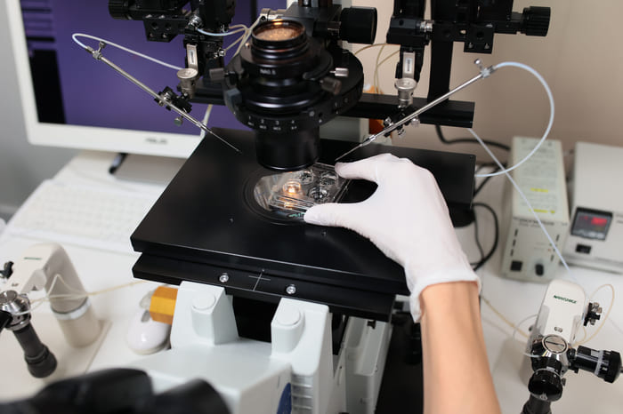 Биопсия яичка